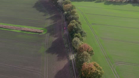 Drohnenaufnahmen-Aus-Der-Luft-Von-Einer-Landstraße-In-Landschaft-Mit-Herbstfarben,-Aufgenommen-An-Einem-Ort-Namens-Uetz-In-Brandenburg,-Deutschland