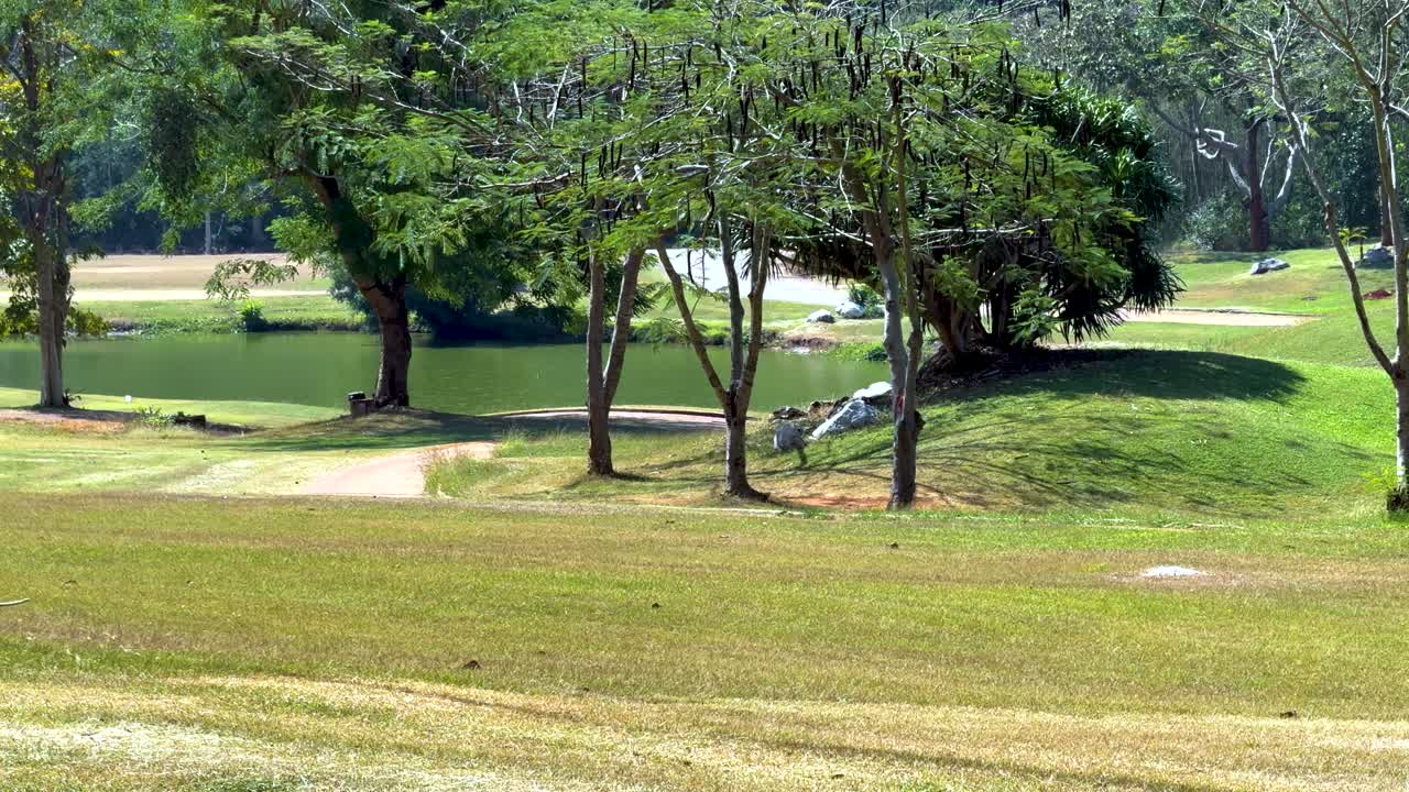 원이가 잔디을 가로질러 달린다