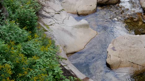 Agua-Colorida-Fluye-Suavemente-Sobre-Piedras-Entre-Un-Bosque