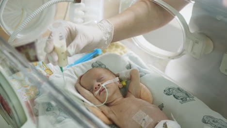 premature infant milk feeding