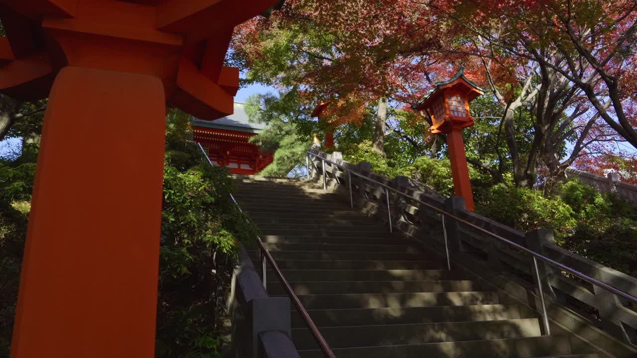 Slow motion slider reveal over stone steps at Japanese shrine with vibrant autumn colors