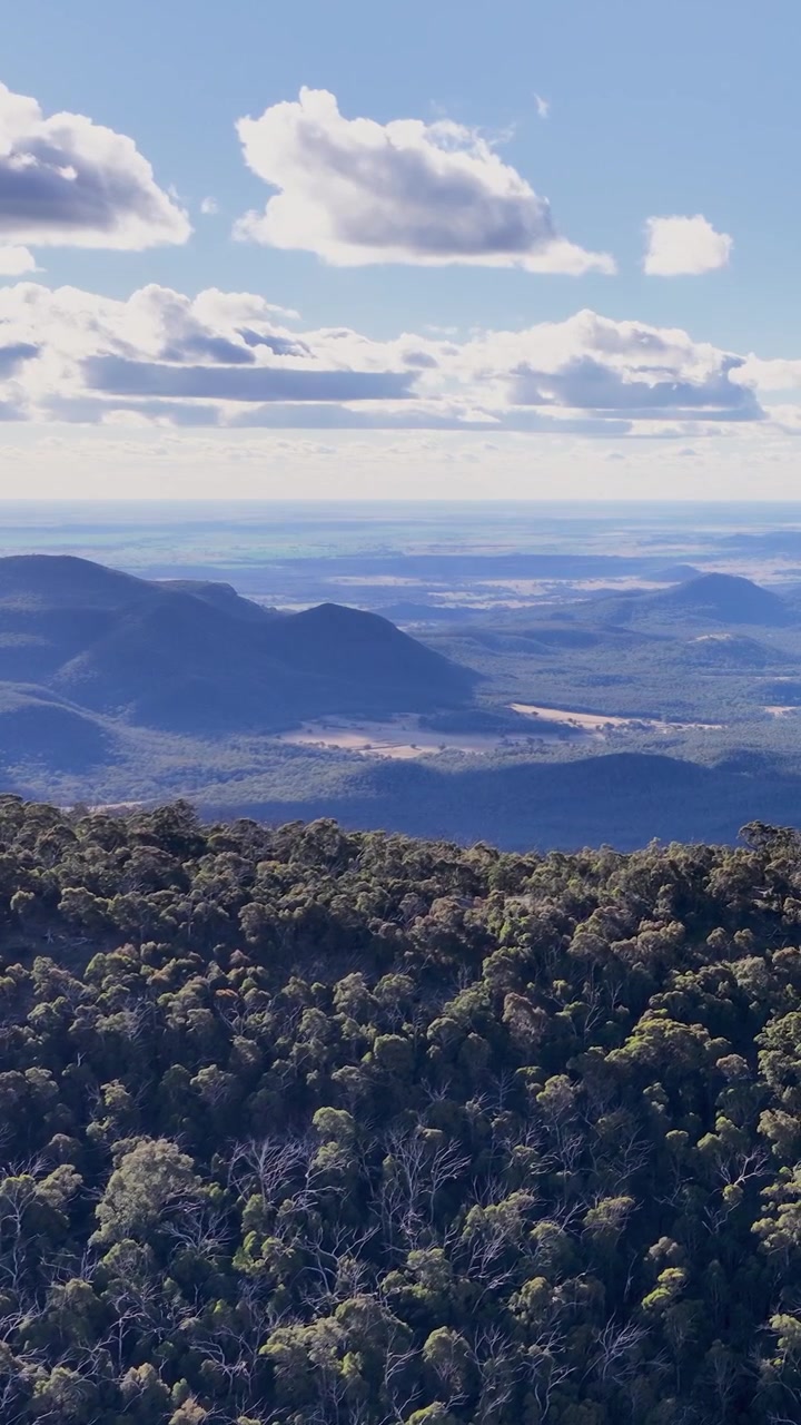 La cámara de un dron se desliza sobre el denso dosel del bosque, revelando extensas cadenas montañosas y valles bajo la luz brillante del día con nubes dispersas e iluminación natural suave.