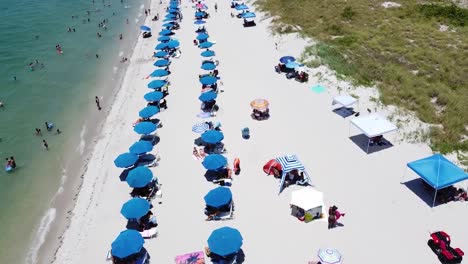 vibrant miami beachfront bustling with people and parasols - aerial fly over