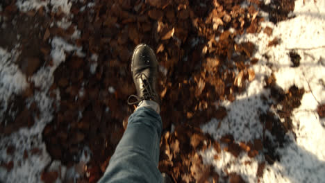 pov male walking in forrest leaves and snow winter