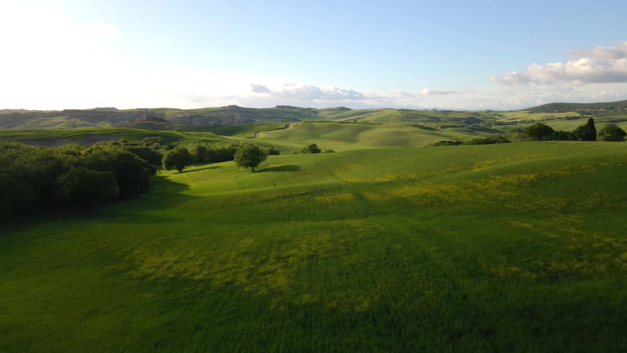 Drone che sorvola colline verdi illuminate dal sole e alberi sparsi nel paesaggio rurale toscano