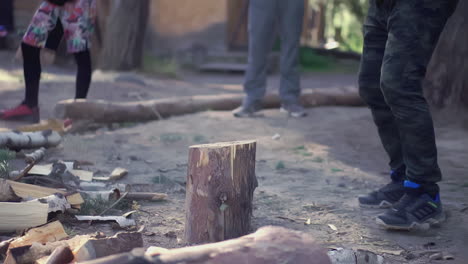 chopping wood outdoors