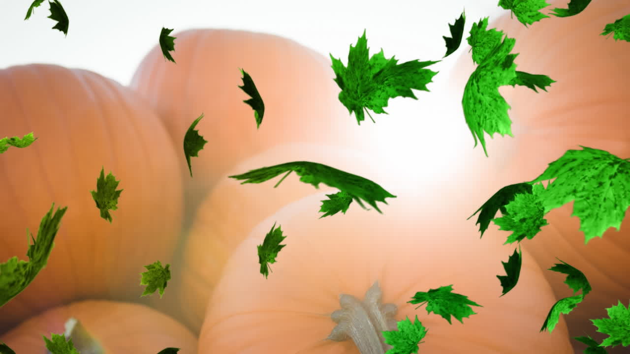 호박  ⁇ 에 떨어지는 가을 잎의 애니메이션