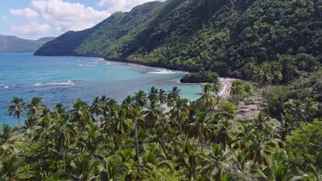 palme con costa verde e mare dei caraibi con spiaggia sabbiosa in estate