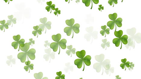 digital animation of multiple clover leaves floating against white background