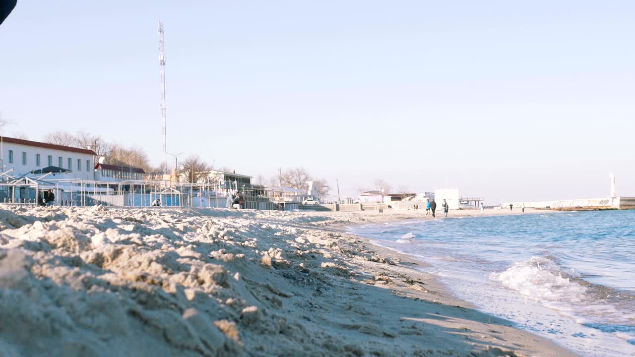 joven hembra jugando con un perro husky siberiano en la playa