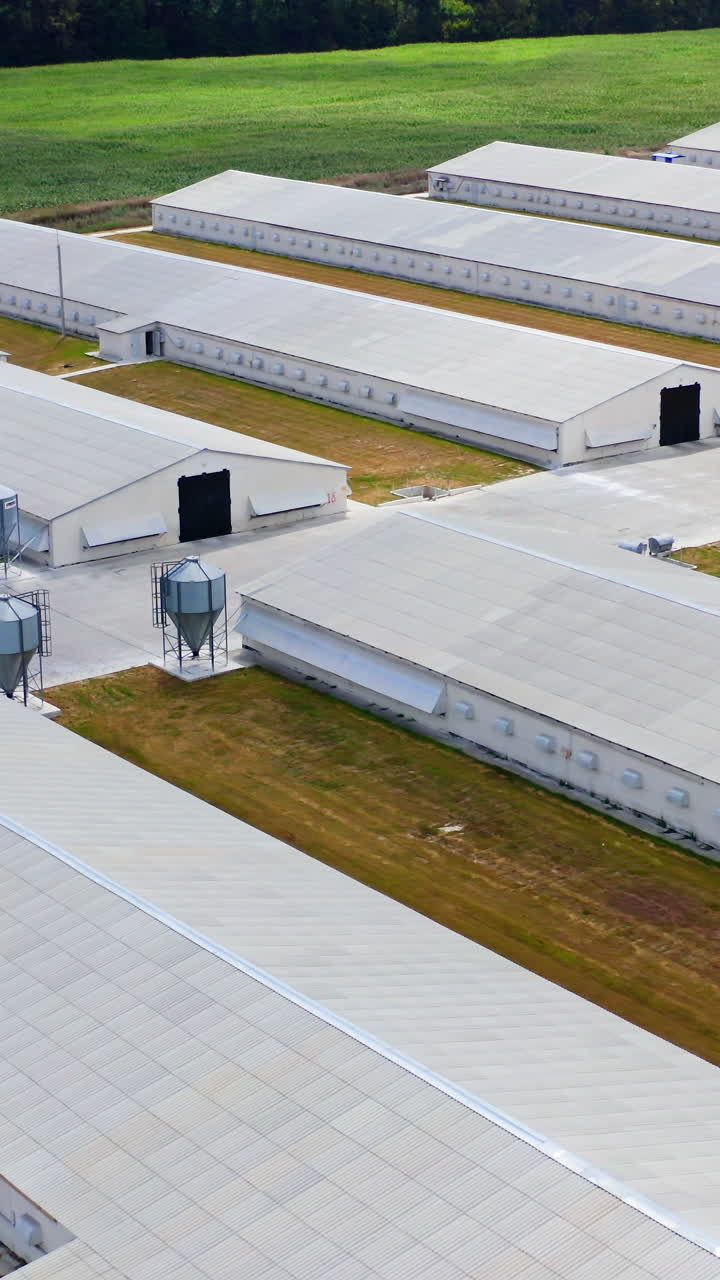 Aerial view of industrial chicken house. Modern farm poultry buildings. Agriculture Vertical video