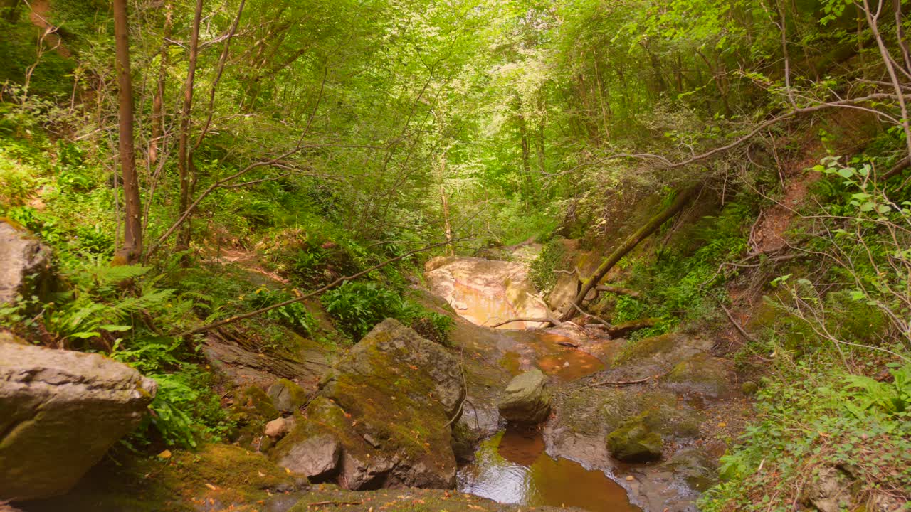 River scene with green foliage and scattered mossy rocks