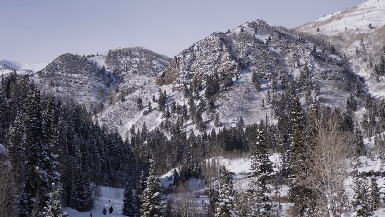 Snow-covered mountain forest on a sunny winter day. Alpine landscape with tall trees and rocky peaks covered in snow, creating a peaceful and picturesque winter scene