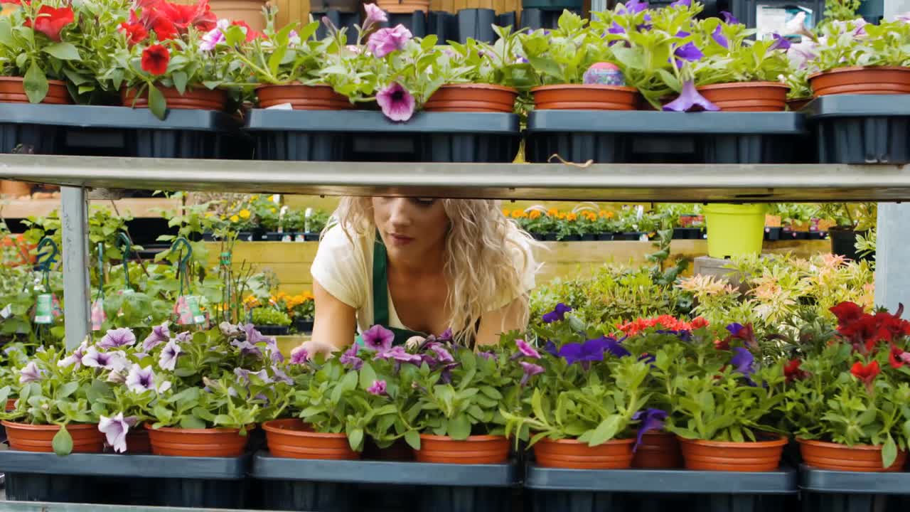 florista femenina que arregla plantas en macetas