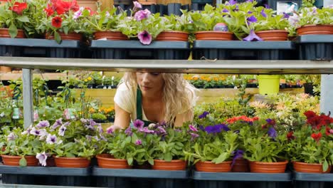 female florist arranging pot plant