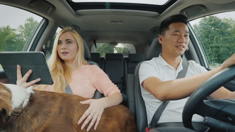 cute girl with a dog in her arms and a tablet in the car shows the way to an asian guy at the wheel