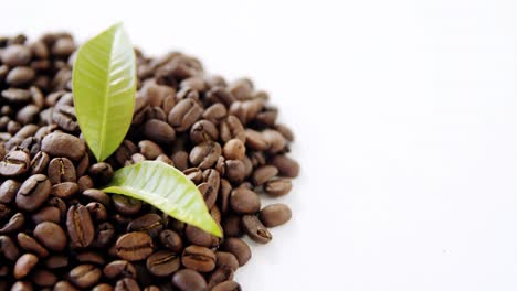 roasted coffee beans with coffee leaves