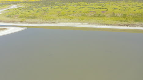 Aerial-view-of-Soda-Lake-grassland-in-Carrizo-Plain-National-Monument