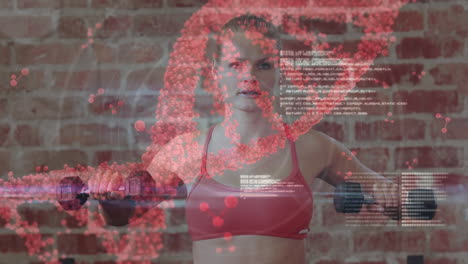 procesamiento de datos médicos contra mujer caucásica mujer en forma trabajando con pesas en el gimnasio