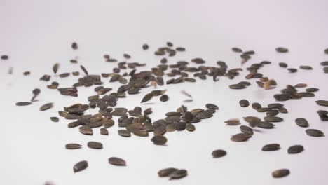 Pumpkin-Seeds-Falling-In-Free-Motion-Over-White-Background---close-up