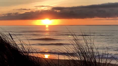 durch das strandgras schaut man auf die orangefarbene sonne, die auf dem pazifischen ozean untergeht.