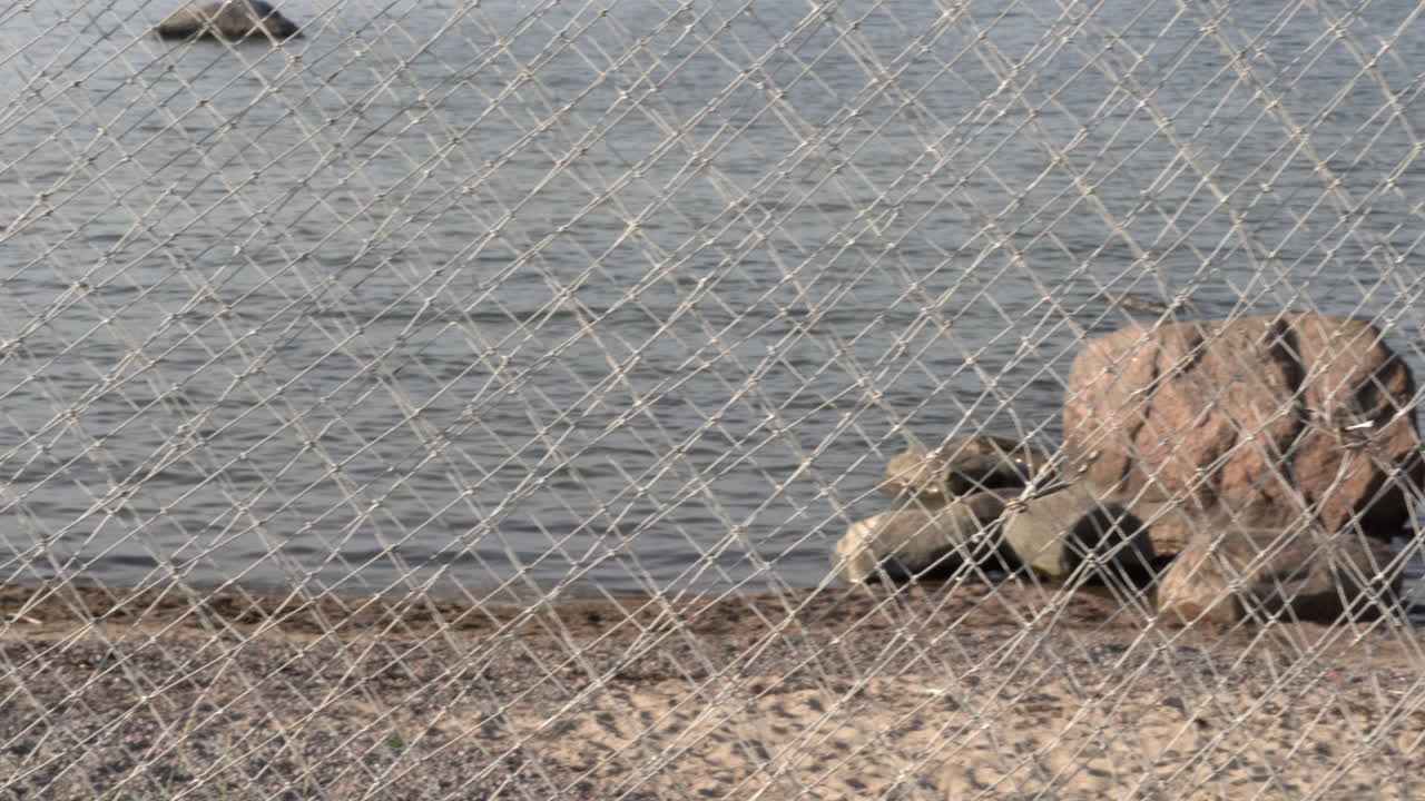 Камни в воде