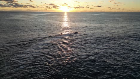 aerial view of jet ski carrying surfer on board at ocean during golden sunset at horizon