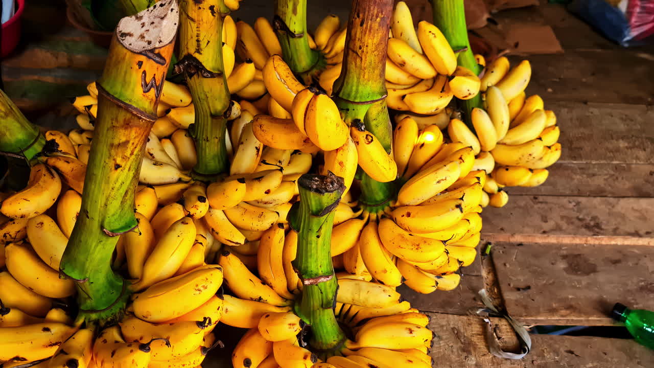 Close up of large stalks of fresh ripe yellow bananas for sale at a local outdoor fruit market in Koggala Sri Lanka