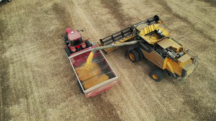 A combine in Wisconsin transfers his load of soybeans to an open trailer