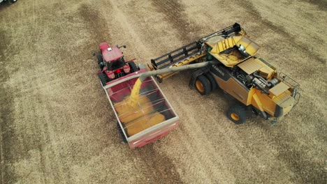 a combine in wisconsin transfers his load of soybeans to an open trailer