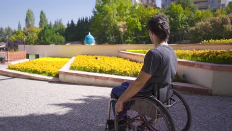 disabled young man sitting in a wheelchair in the park.