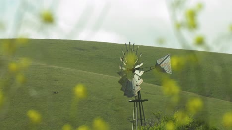 windmill in front of pastoral california hills with out of focus flowers 4k