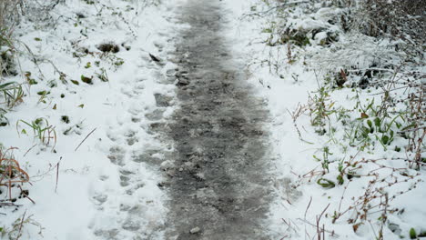 footpath covered with snow and bordered by frost-covered grass and plants, showcasing winter's tranquil beauty with textured ice, snow patches, and greenery emerging through the frost