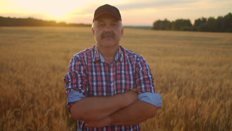 portrait of a smiling senior adult farmer in a cap in a field of cereals. in the sunset light an elderly man in a tractor driver after a working day smiles and looks at the camera.