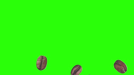 realistic coffee beans animation graphic element on green screen chroma key