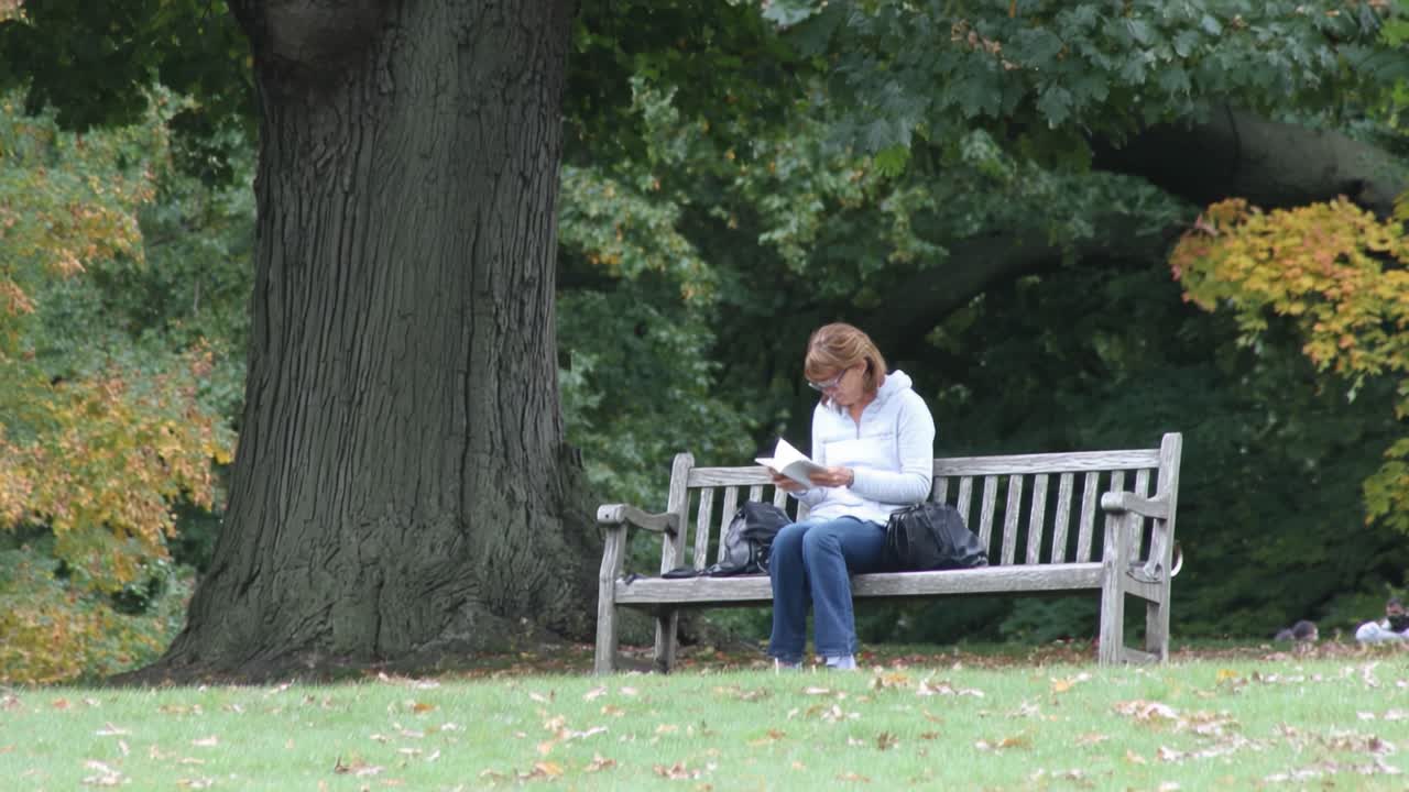 A Peaceful Moment in Nature: A Woman Enjoys Reading a Book on a Park Bench Surrounded by Vibrant Autumn Foliage and a Tranquil Atmosphere