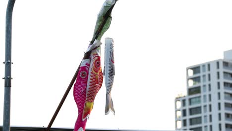 colorful carp streamers blowing in the wind