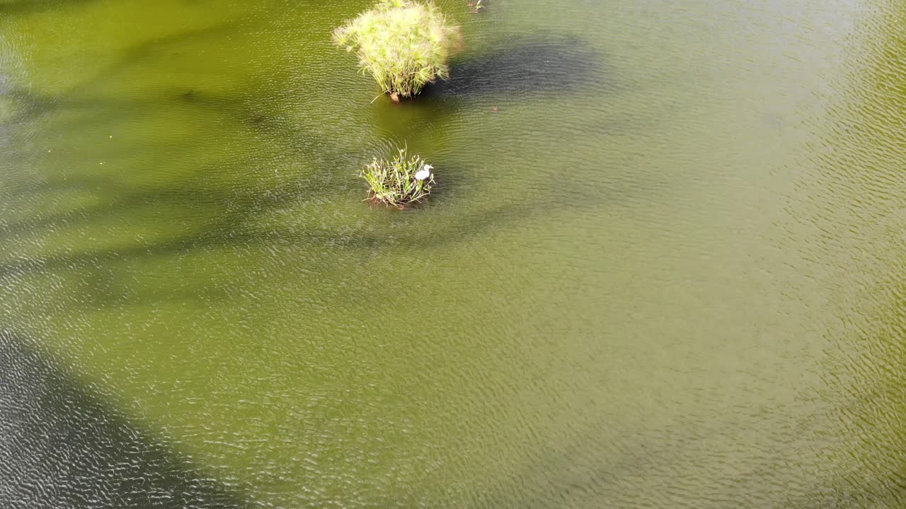 공중 드론 영상