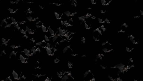 flying bats animation with black green screen channel halloween background.
