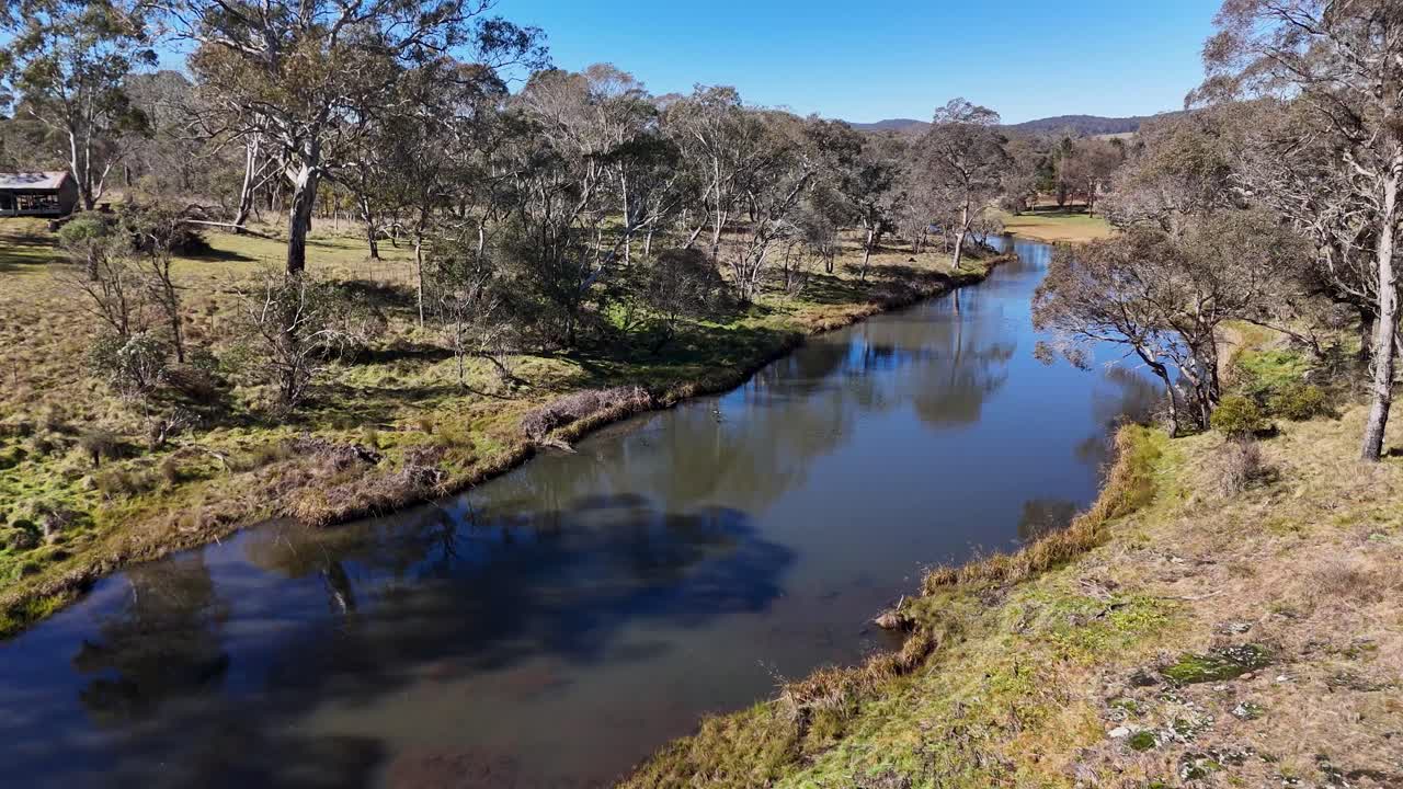 Drone glides above a winding stream bordered by eucalyptus trees and grassy banks under clear daylight, capturing tranquil rural Australian landscape with smooth camera movement