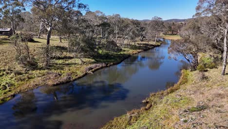 drone glides above a winding stream bordered by eucalyptus trees and grassy banks under clear daylight, capturing tranquil rural australian landscape with smooth camera movement