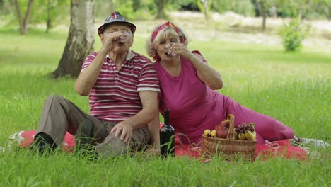 Family-weekend-picnic-in-park.-Active-senior-old-caucasian-couple-sit-on-blanket-and-drink-wine