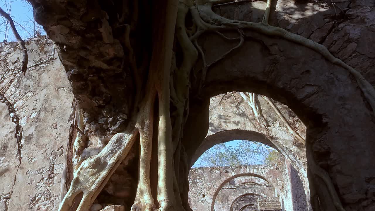 Ruins with overgrown roots and stone arches, Hacienda Ixtoluca, peaceful decay