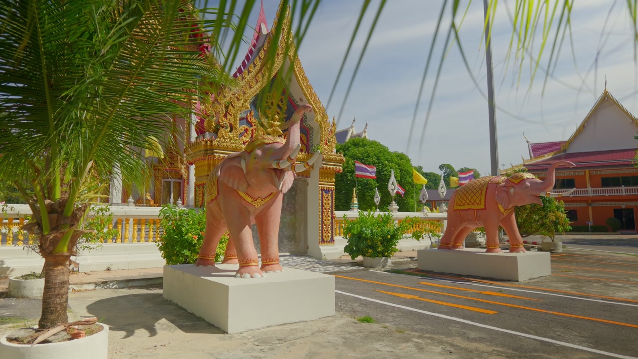 A wide, static shot of the ornate golden entrance to Wat Nai Harn temple in Phuket, Thailand. Featuring iconic pink elephant statues and tropical palm trees under a blue sky. 4K travel footage.
