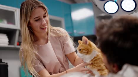 happy blonde veterinarian girl in a pink uniform strokes and examines a ginger white cat with it guy owner in a modern pet clinic