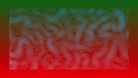 animation of organically moving blue topographic lines on red and green background