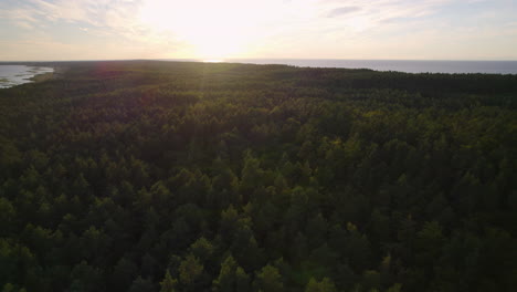 Toma-Panorámica-Aérea-De-Grandes-Bosques-Y-Mar-Báltico-Como-Telón-De-Fondo-Al-Atardecer-Dorado