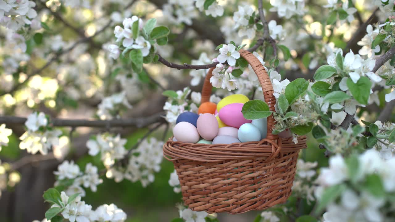 Happy Easter. Basket with Easter eggs in grass on a sunny spring day - Easter decoration, banner, panorama, background with copy space for text