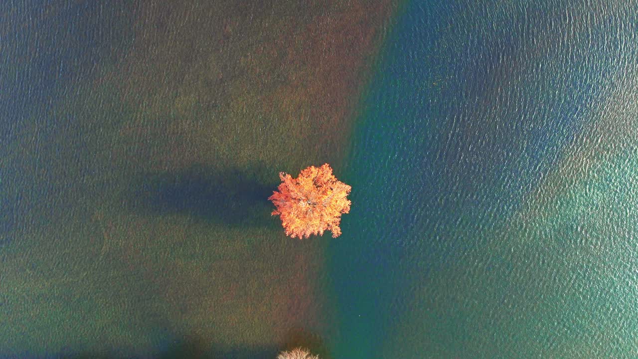 슬로베니아의 플라니나 평야의 4k 드론 영상