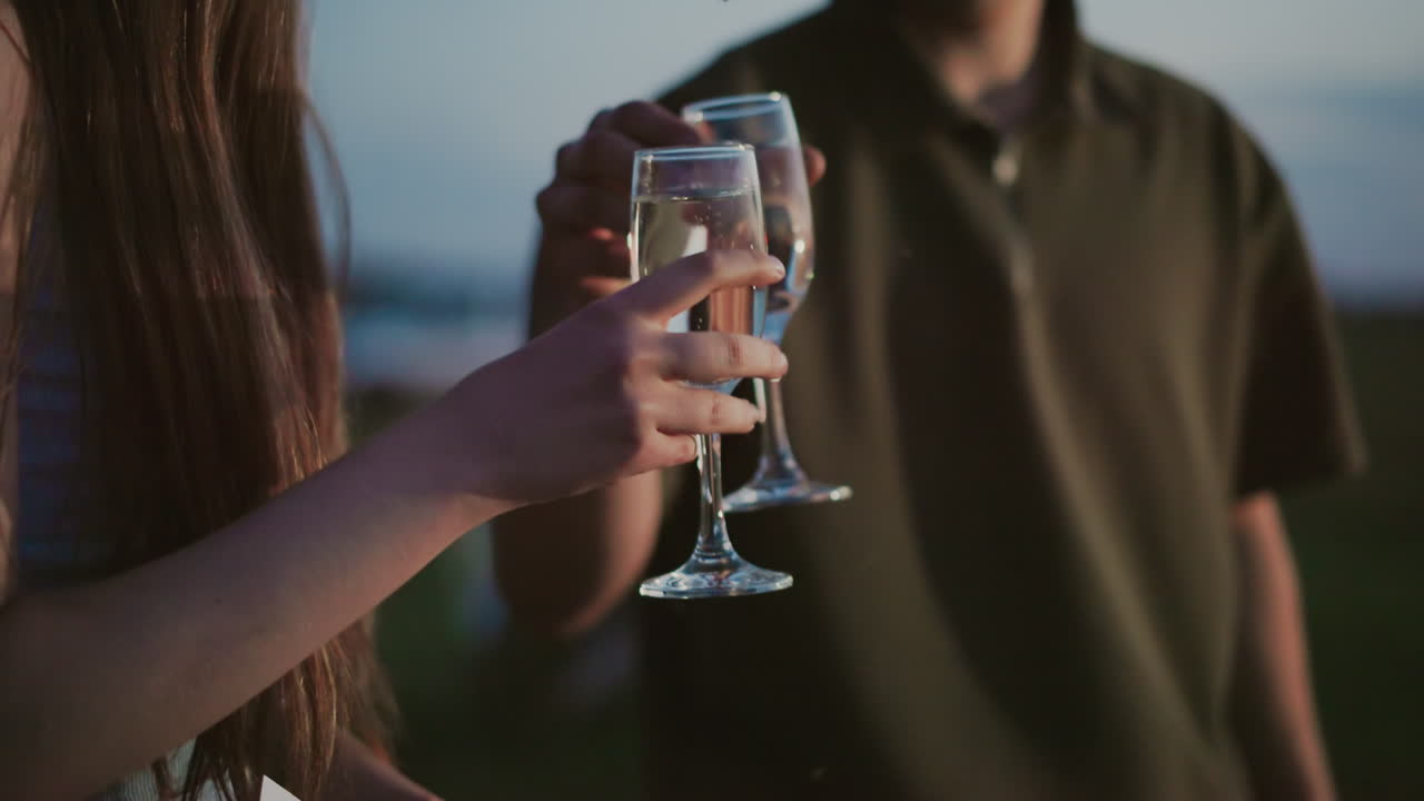 close up of adult raising champagne glass to toast with another glass held by companion under twilight sky in outdoor field setting capturing celebratory clink motion and warm evening ambiance